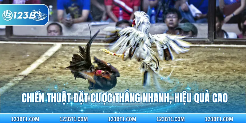 Chiến thuật đặt cược thắng nhanh, hiệu quả cao