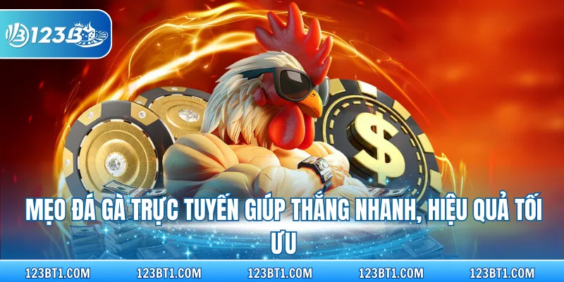 Mẹo đá gà trực tuyến giúp thắng nhanh, hiệu quả tối ưu