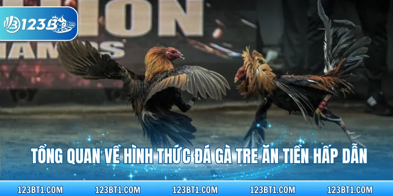 Tổng quan về hình thức đá gà tre ăn tiền hấp dẫn