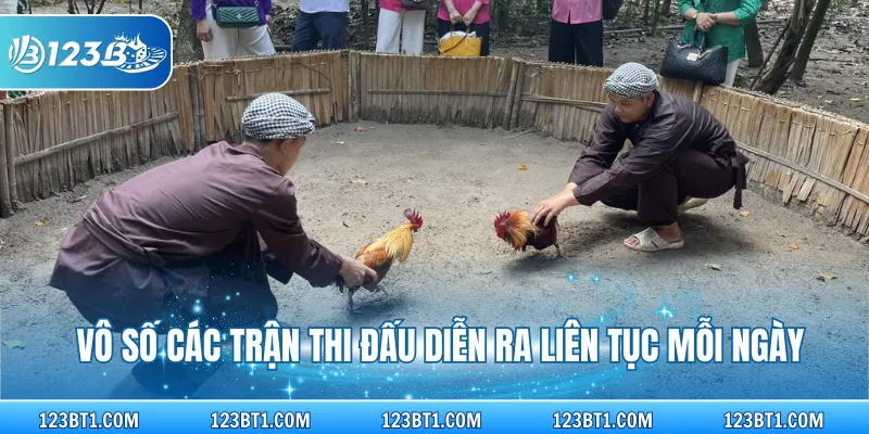 Vô số các trận thi đấu diễn ra liên tục mỗi ngày